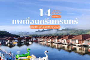 14 แพเขื่อนศรีนครินทร์ กาญจนบุรี 2025/2568 นอนชิลริมน้ำ อัปเดตใหม่